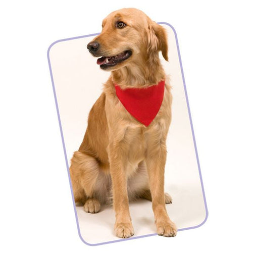 Pet Collar with Scarf 143062 BigBuy Pets