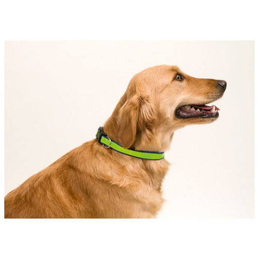 Walking collar 143063 BigBuy Tech