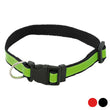 Walking collar 143063 BigBuy Tech