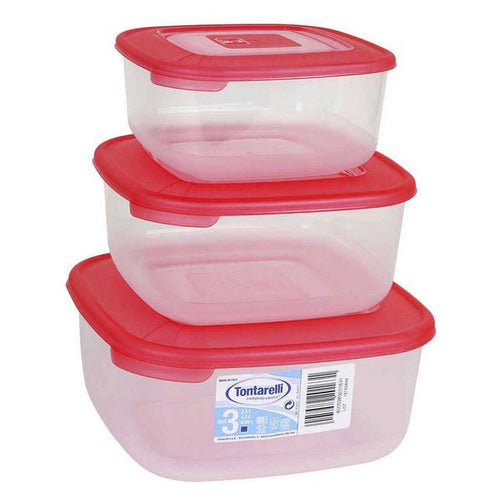 Set of 3 lunch boxes Tontarelli (1 - 1,5 - 2,5 L) Tontarelli