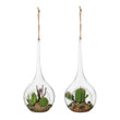 Decorative Plant 119534 Artificial Inside (ø 9 x 20 cm) BigBuy Home