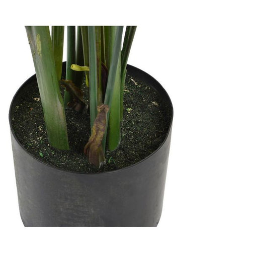 Decorative Plant Dekodonia PVC (95 x 150 cm) Dekodonia