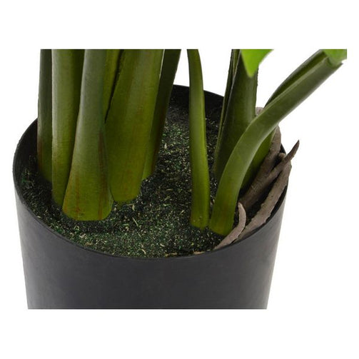 Decorative Plant Dekodonia PVC (100 x 110 cm) Dekodonia