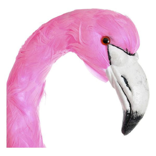 Decorative Figure Dekodonia Feather Tropical Flamenco Dekodonia