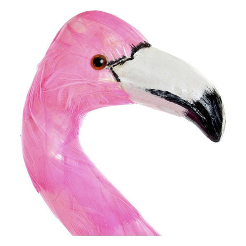 Decorative Figure Dekodonia Feather Tropical Flamenco Dekodonia