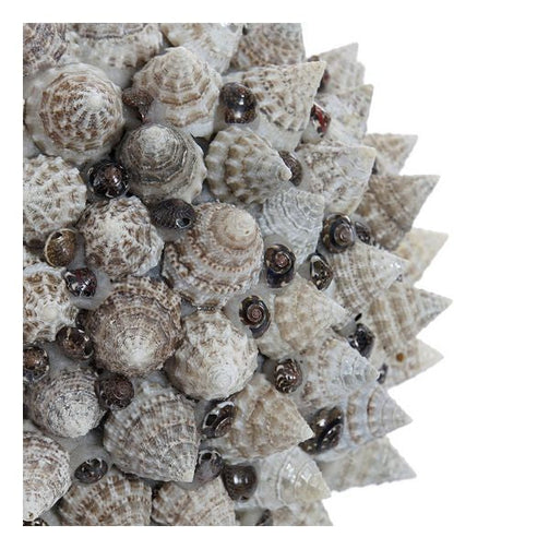 Decorative bauble Dekodonia Shells Natural (12 x 12 cm) Dekodonia