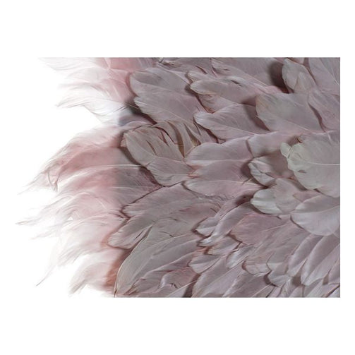 Wall Decoration Dekodonia Feather Colonial Shells Dekodonia