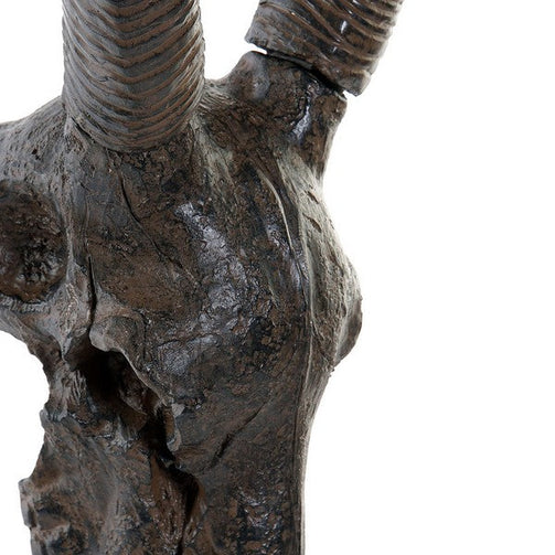 Decorative Figure Dekodonia Skull Resin (27 x 14 x 50 cm) Dekodonia