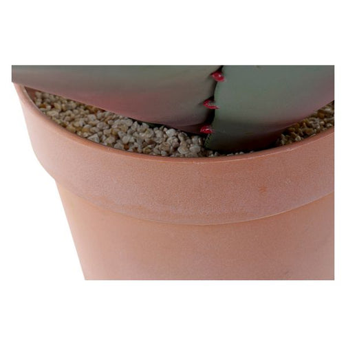 Decorative Plant Dekodonia polypropylene EVA (52 x 52 x 52 cm) Dekodonia