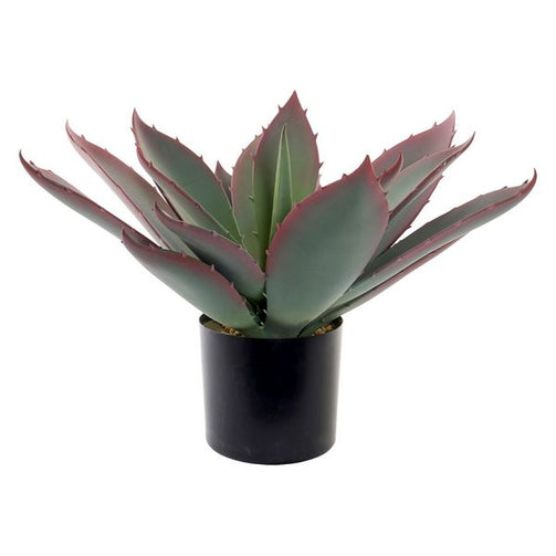 Decorative Plant Dekodonia polypropylene EVA (45 x 45 x 55 cm) Dekodonia