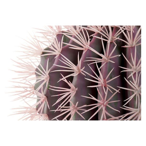 Decorative Plant Dekodonia polypropylene EVA (33 x 47 cm) Dekodonia