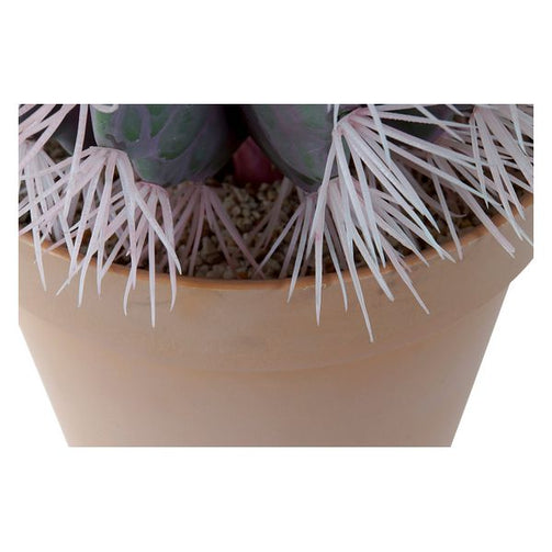 Decorative Plant Dekodonia polypropylene EVA (33 x 47 cm) Dekodonia
