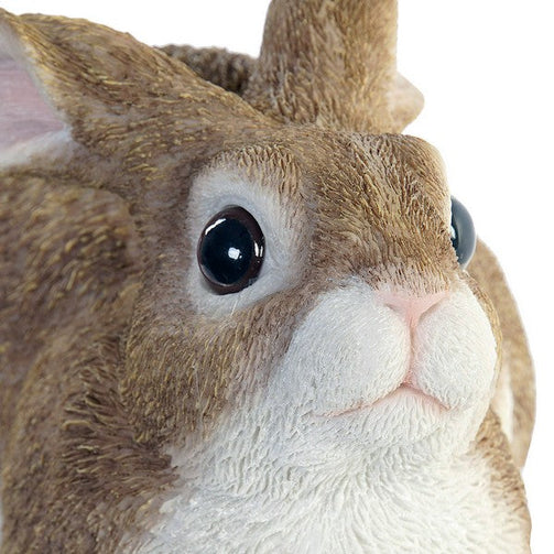 Sculpture Dekodonia Rabbit Brown (22 x 13 x 15 cm) Dekodonia