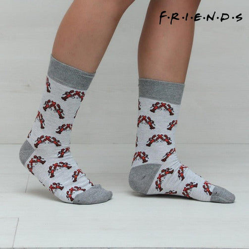 Socks Friends (One size) (3 uds) Multicolour Friends