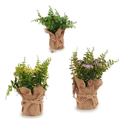 Decorative Plant Plastic (13 x 23 x 13 cm) Ibergarden