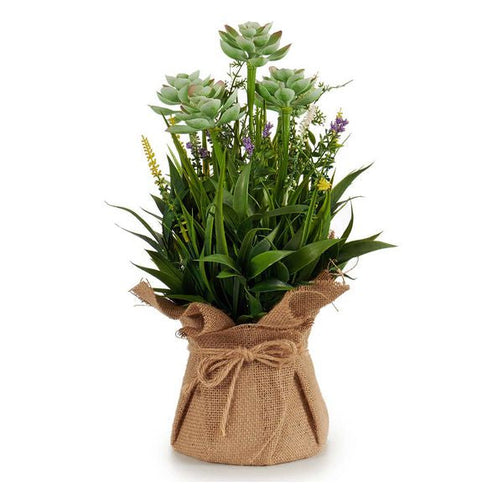 Decorative Plant Plastic Flowers (20 x 38 x 20	 cm) Ibergarden