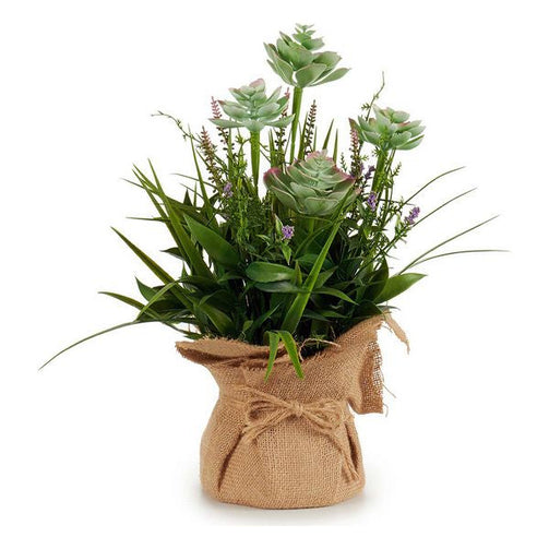 Decorative Plant Plastic Flowers (20 x 38 x 20	 cm) Ibergarden