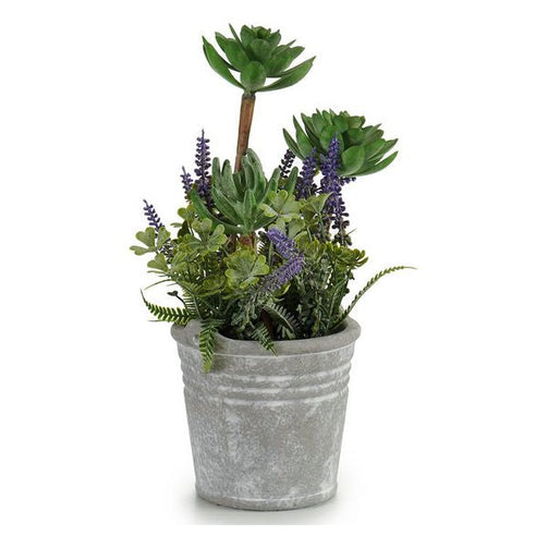 Decorative Plant Cement Flowers (15,2 x 23 x 15,2	cm) Ibergarden