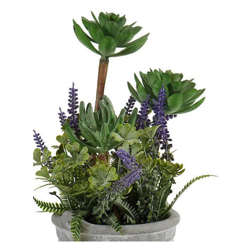 Decorative Plant Cement Flowers (15,2 x 23 x 15,2	cm) Ibergarden