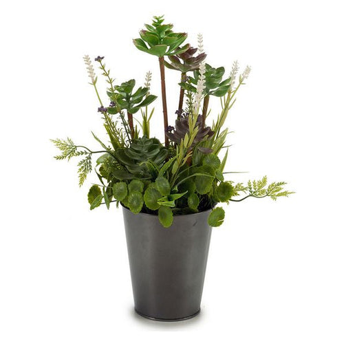 Decorative Plant Plastic (20 x 41 x 20 cm) Ibergarden