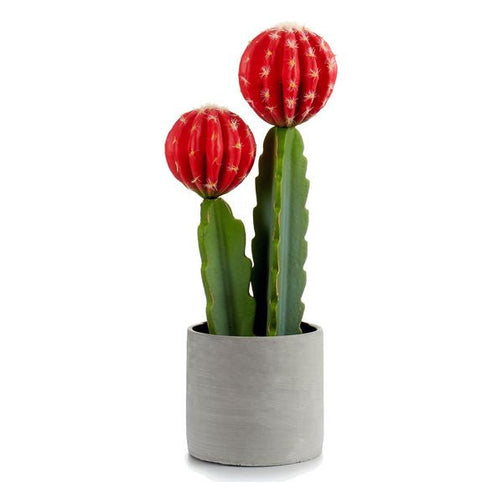 Cactus Plastic Red Cactus (11 x 44 x 16 cm) Ibergarden