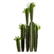 Cactus (18 x 99 x 18 cm) Ibergarden