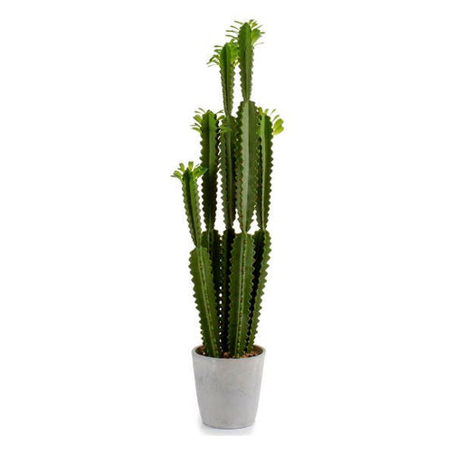 Cactus (18 x 99 x 18 cm) Ibergarden
