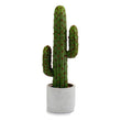 Cactus Plastic Cactus (10 x 38 x 13 cm) Ibergarden