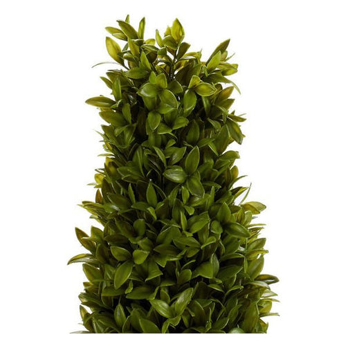 Decorative Plant (20 x 60 x 20 cm) Ibergarden
