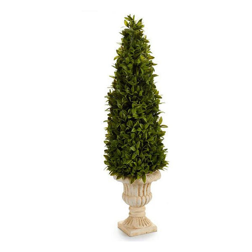 Decorative Plant (20 x 60 x 20 cm) Ibergarden