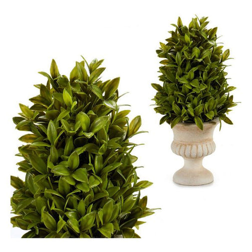 Decorative Plant (20 x 33 x 20 cm) Ibergarden