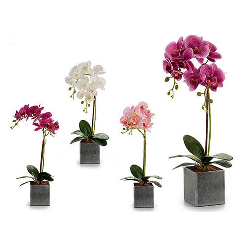 Decorative Flower Plastic Orchid Ibergarden