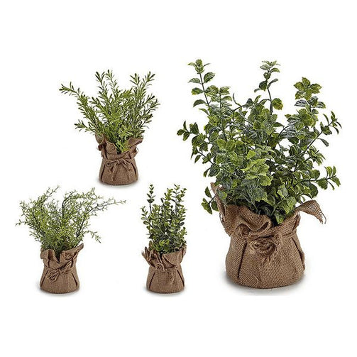 Decorative Plant White (12 x 31 x 12 cm) Ibergarden