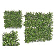 Decorative Plant Green Plastic (50 x 5 x 50 cm) Ibergarden