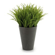 Decorative Plant (9 x 18 x 9 cm) Plastic Ibergarden