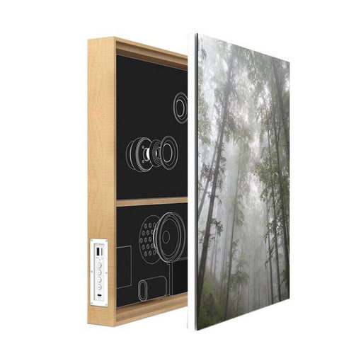 Wireless Bluetooth Speaker Energy Sistem Forest 447534 50W Energy Sistem