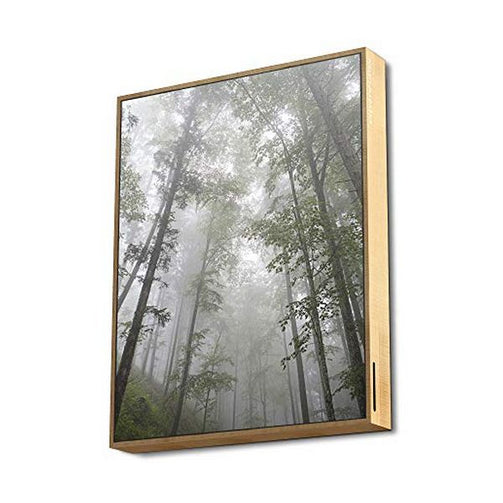 Wireless Bluetooth Speaker Energy Sistem Forest 447534 50W Energy Sistem