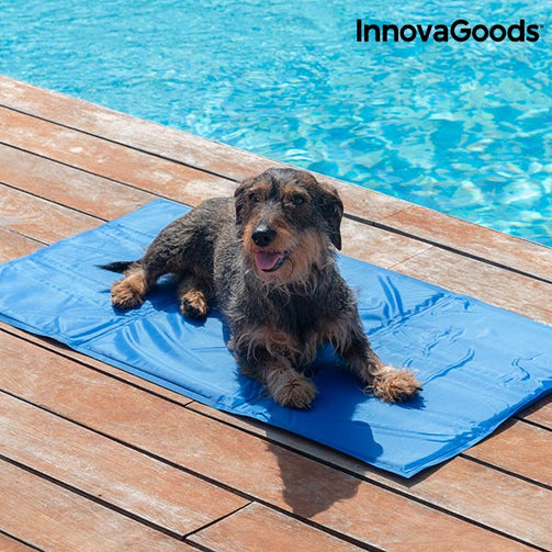 InnovaGoods Refreshing Pet Mat (90 x 50 cm) InnovaGoods