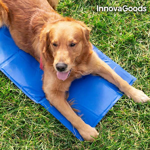 InnovaGoods Refreshing Pet Mat (90 x 50 cm) InnovaGoods