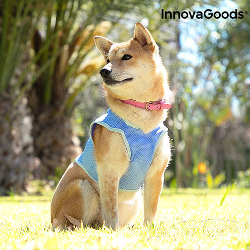 InnovaGoods Refreshing Pet Vest for Small Pets - S InnovaGoods