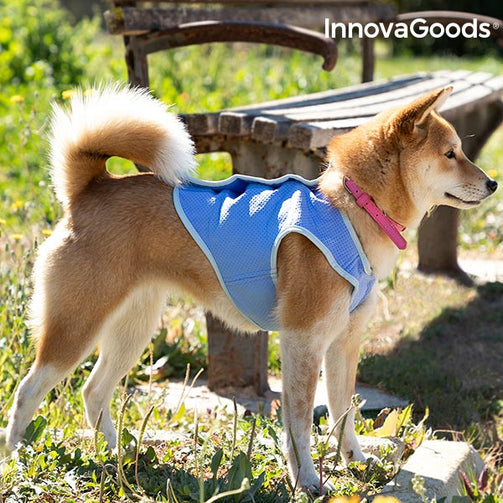 InnovaGoods Refreshing Pet Vest for Small Pets - S InnovaGoods