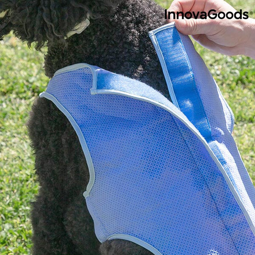 InnovaGoods Refreshing Pet Vest for Medium Pets - M InnovaGoods