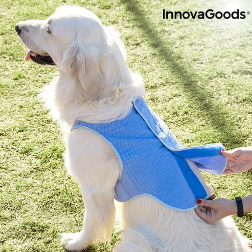 InnovaGoods Refreshing Pet Vest for Large Pets - L InnovaGoods