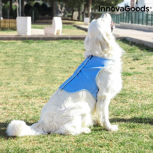 InnovaGoods Refreshing Pet Vest for Large Pets - L InnovaGoods